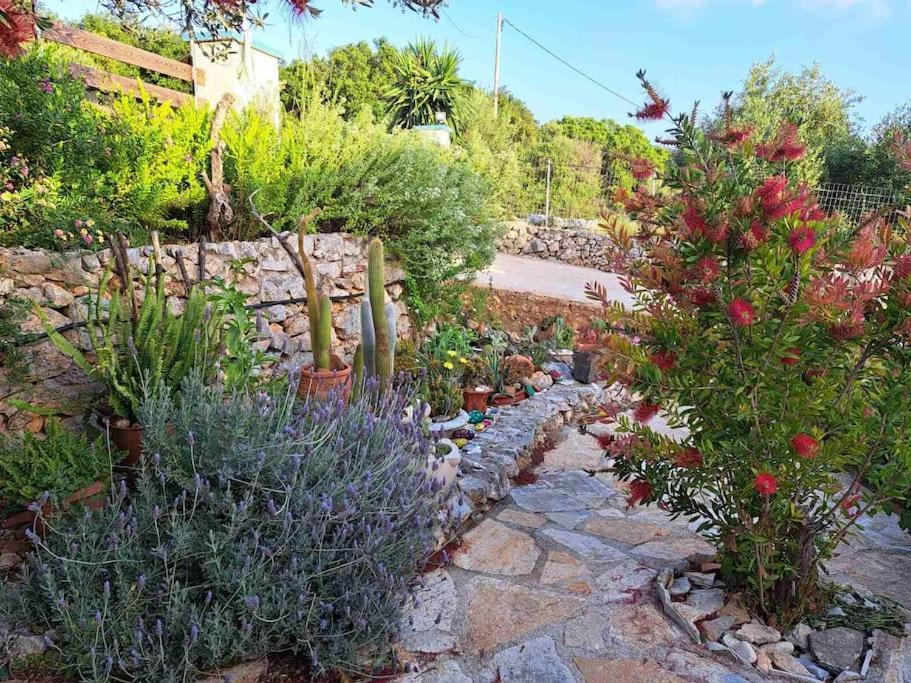 Fragosiko - Rustic Retreat In Kefalonia Argostoli  Ngoại thất bức ảnh