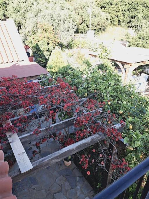 Fragosiko - Rustic Retreat In Kefalonia Argostoli  Ngoại thất bức ảnh